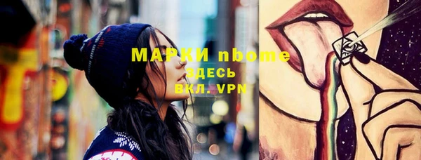 прущие грибы Балабаново