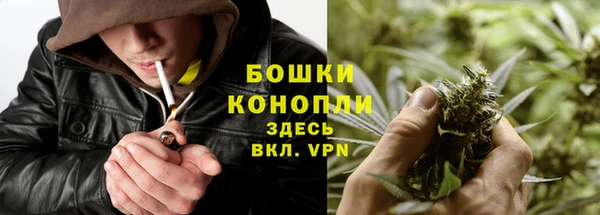 прущие грибы Балабаново