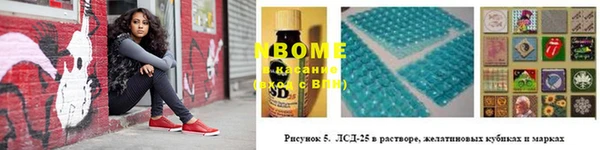 прущие грибы Балабаново
