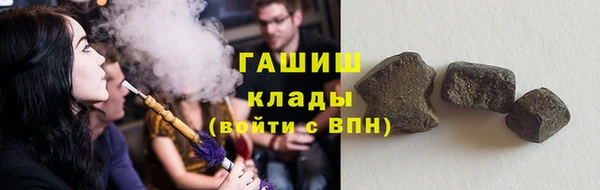 прущие грибы Балабаново