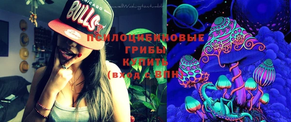 прущие грибы Балабаново