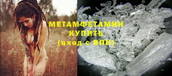 прущие грибы Балабаново