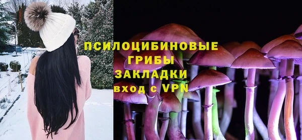 соль ск Балахна