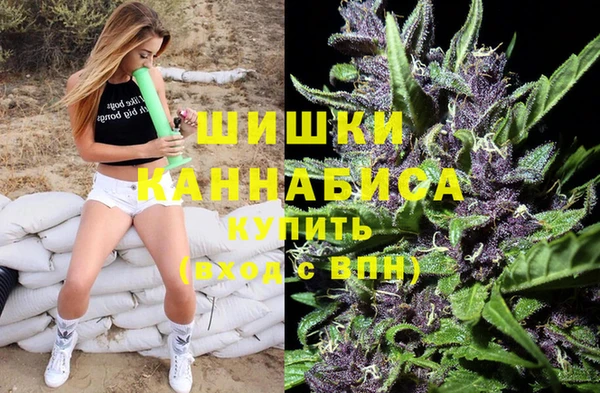 прущие грибы Балабаново