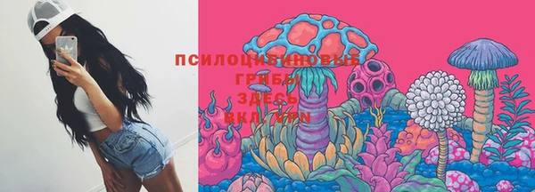 соль ск Балахна