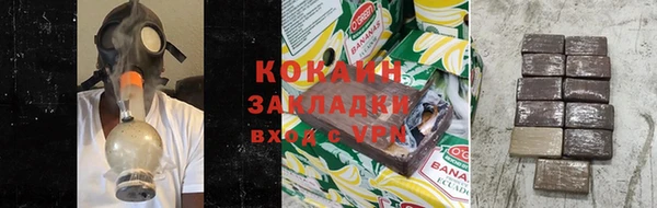 прущие грибы Балабаново